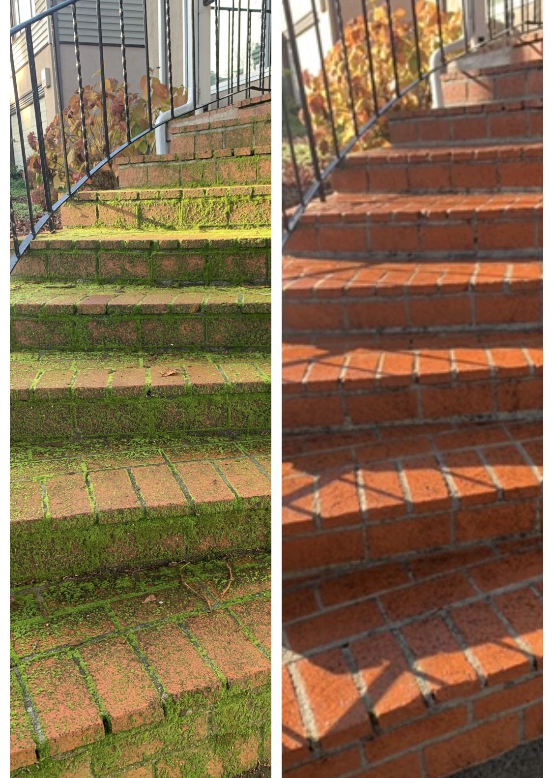 Driveway Pressure Washing Before & After